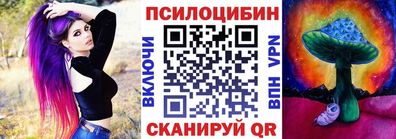 Галлюциногенные грибы Psilocybe  купить наркоту  Жуков 
